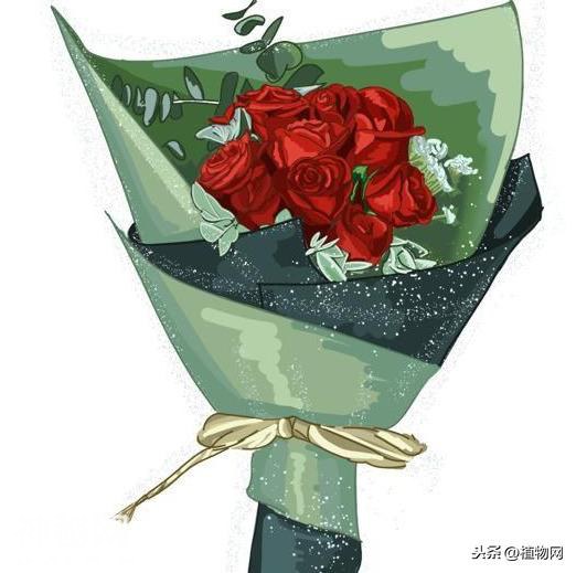 在小王子的星球上，只有着那独一无二的玫瑰花-7.jpg