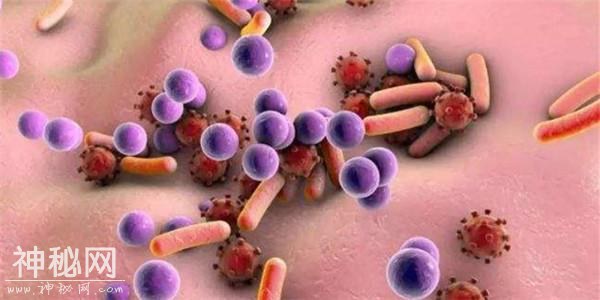 病毒、细菌、真菌、寄生虫，这些皮肤上的微生物真的一无是处吗？-1.jpg