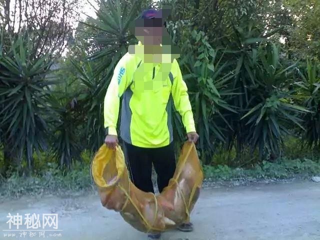 讲讲我与罗非的一点故事和心得：饵料篇-13.jpg