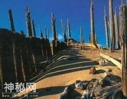 生命禁区罗布泊-4.jpg