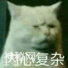 为撕正宫斗法致胎死腹中？娱妻X枣花早年不可说的故事-5.jpg