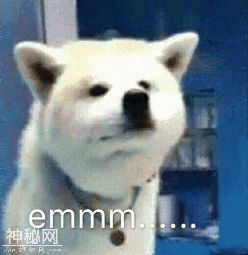 为撕正宫斗法致胎死腹中？娱妻X枣花早年不可说的故事-4.jpg