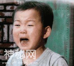 为撕正宫斗法致胎死腹中？娱妻X枣花早年不可说的故事-10.jpg
