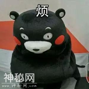 为撕正宫斗法致胎死腹中？娱妻X枣花早年不可说的故事-32.jpg