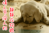 为撕正宫斗法致胎死腹中？娱妻X枣花早年不可说的故事-26.jpg