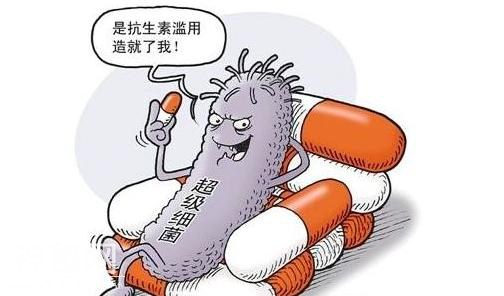 超级细菌，害怕？抗生素就不用了吗？-2.jpg