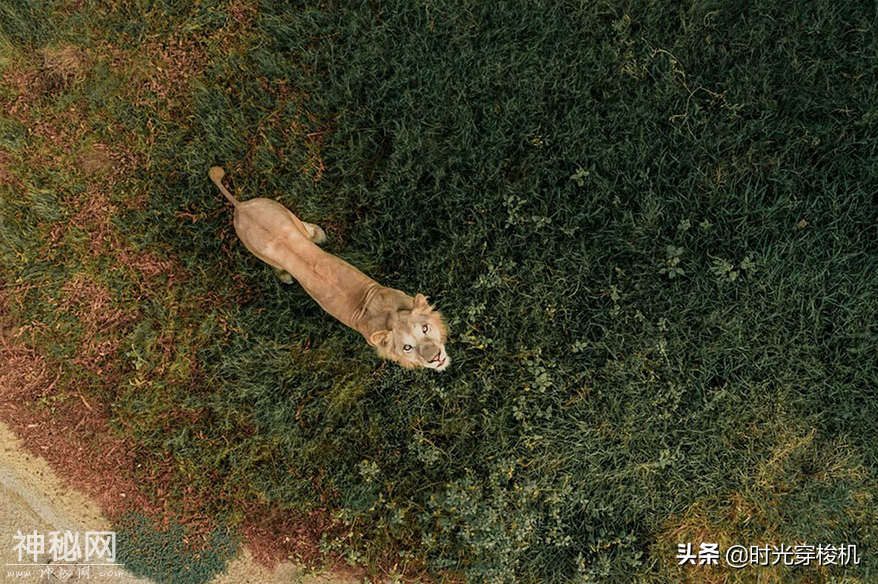 从高处俯瞰这个星球 美得让上帝都为之惊叹-5.jpg