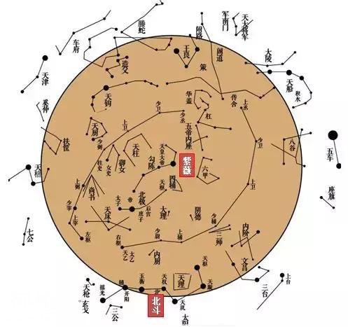 古紫薇：帝王之花，道教圣树-5.jpg