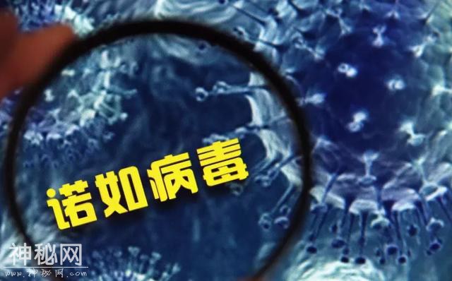 这种病毒传播快、易感染，导致50多个人住院-2.jpg