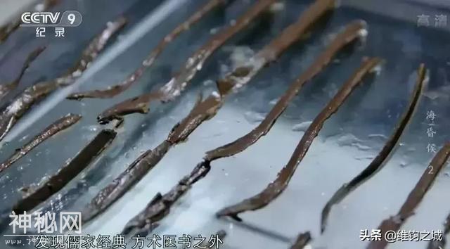 《海昏侯》考古记录，分分钟吊打那些盗墓烂片-25.jpg
