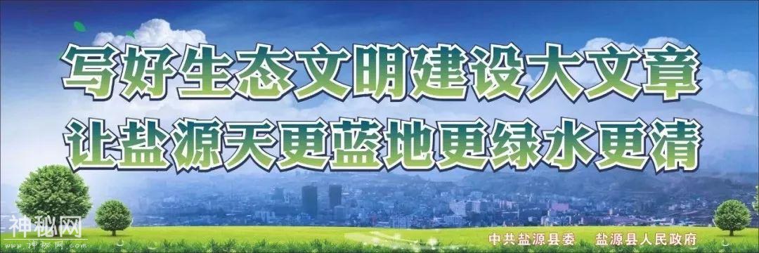 【防汛减灾】曾浪舟调研督导地质灾害防治和防汛减灾工作-6.jpg
