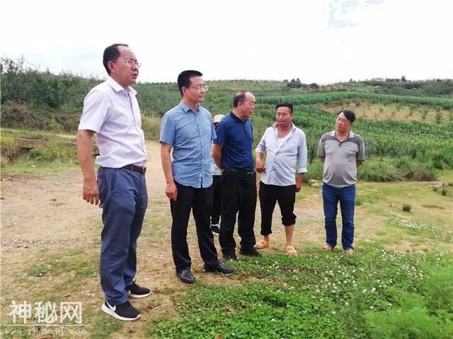 【防汛减灾】曾浪舟调研督导地质灾害防治和防汛减灾工作-5.jpg