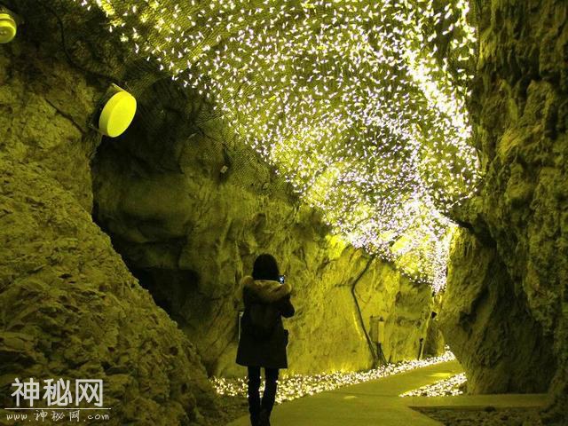 星球 · 景点 | 江之岛的邂逅-12.jpg