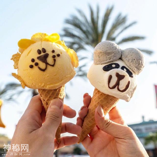 「可爱动物冰淇淋背景图」一天吃一个 吃一整个夏天吧-1.jpg