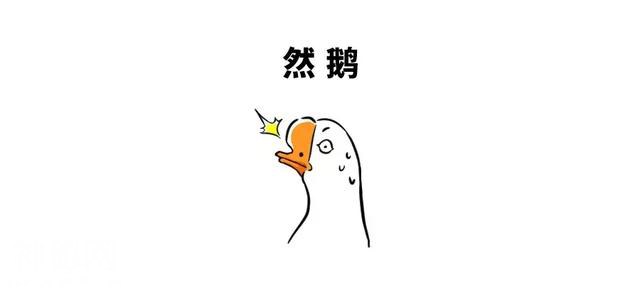 食物背后的发现者：第一个发现牛奶能喝的人到底对牛做了什么？-17.jpg