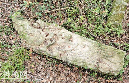 泉港驿坂发现陈煌古墓：缘何坟墓立有龙首柱-1.jpg