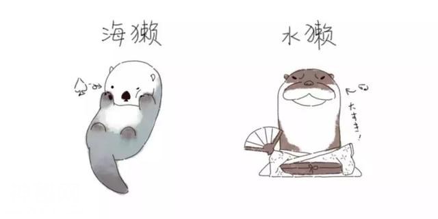 那些长得很像的动物们到底怎么区别？-5.jpg