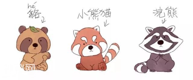 那些长得很像的动物们到底怎么区别？-6.jpg