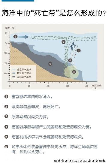 海洋生物数量缘何逐年减少？-1.jpg