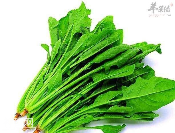 肺阳虚就要多吃这些蔬菜-1.jpg