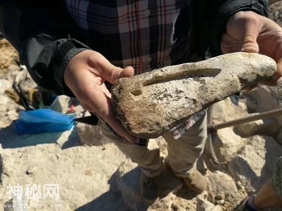 距今4600年的海上金字塔，探宝者登岛失踪，考古人员发掘解谜团-6.jpg