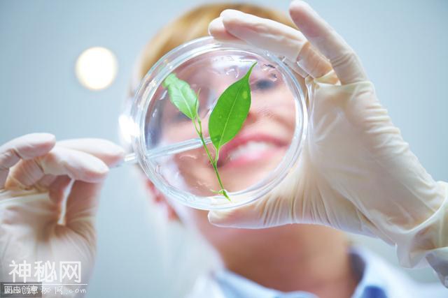 高中生物复习小技巧，赶快拿小本本记下来-4.jpg
