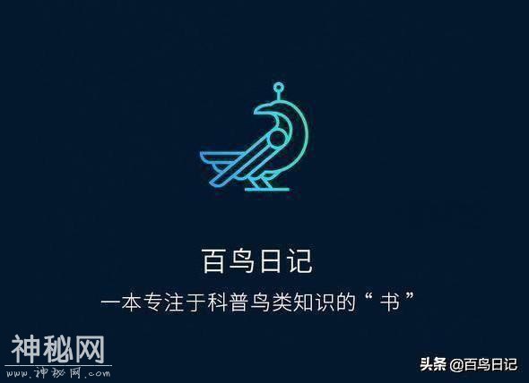 第三十九课：鸟类细菌感染不是儿戏！不注意后果还很严重呢-7.jpg