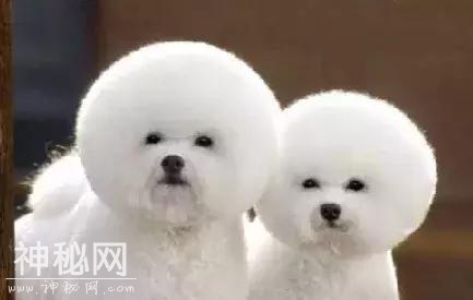 发个笑话，给大家放松一下，笑晕了-1.jpg