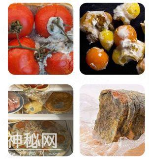冰箱竟藏了1140万细菌！异味扑鼻！德国逆天科技保鲜棒，一棒子搞定-10.jpg