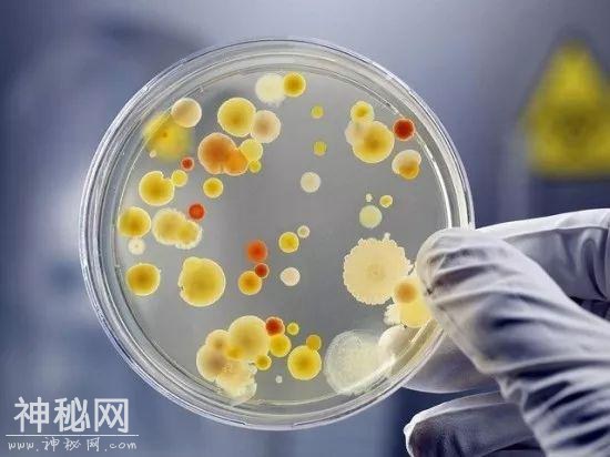 冰箱竟藏了1140万细菌！异味扑鼻！德国逆天科技保鲜棒，一棒子搞定-4.jpg