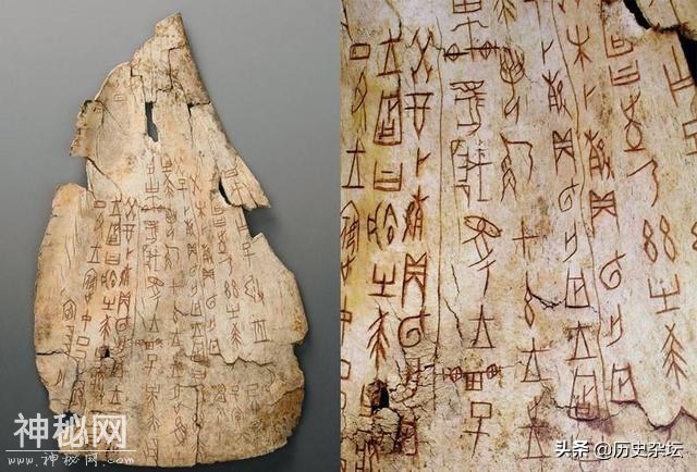 中国象棋是印度发明的？河南考古挖出大象骸骨，打脸专家谣言-4.jpg