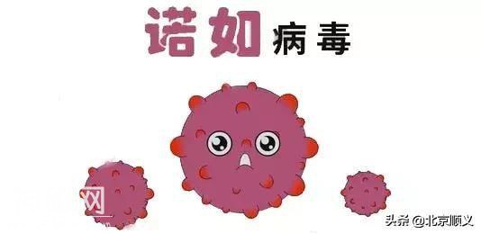 什么是诺如病毒，疾控部门教您如何预防！-2.jpg