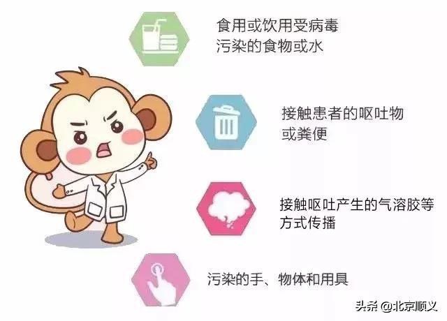 什么是诺如病毒，疾控部门教您如何预防！-7.jpg