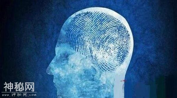 宇宙可能是一个生物，人类是大脑细胞-6.jpg