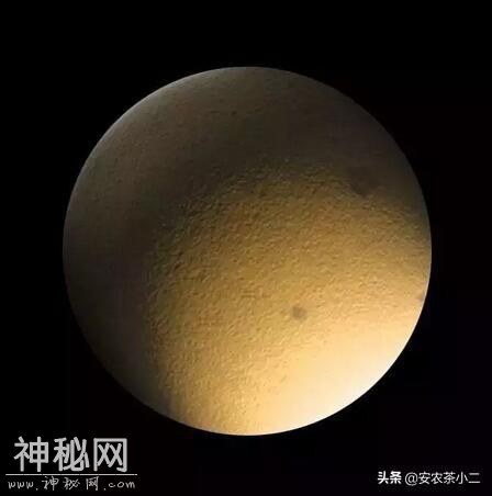 茶叶和星球？？太美了！快收藏点赞-2.jpg