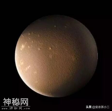 茶叶和星球？？太美了！快收藏点赞-5.jpg