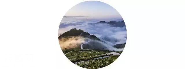 成都边上藏了个“地质天书、旷世幽谷”是不输张家界的天然大峡谷-5.jpg
