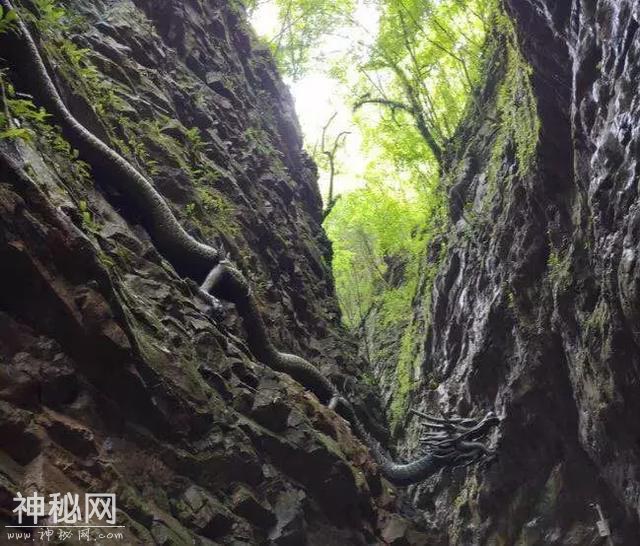 成都边上藏了个“地质天书、旷世幽谷”是不输张家界的天然大峡谷-22.jpg