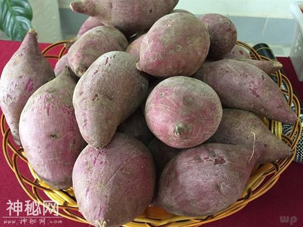 夏季饮食要多吃它们，悄悄清除毒素细菌，癌细胞也逃之夭夭-2.jpg