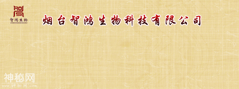 若要睡得好，常服灵芝草-4.jpg