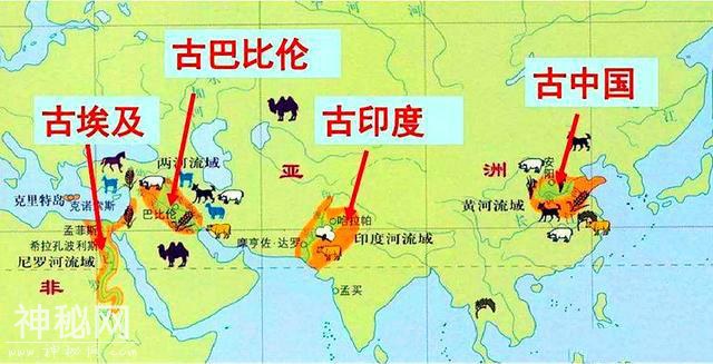 殷墟考古发现外国人，网友：商朝人来自西方？专家：活祭战俘-1.jpg