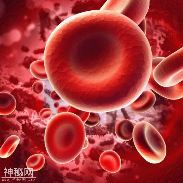 我们的血小板细胞在3亿年前就进化出来了，只不过它在其他生物上-1.jpg