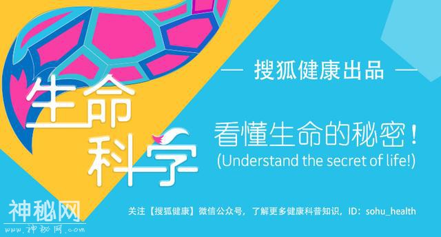 “亲吻”会传播一种病毒！可致鼻咽癌或罕见肺癌-3.jpg