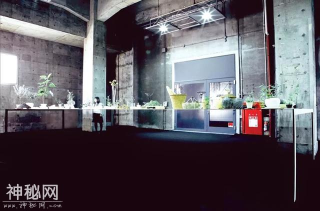 今夏上海最值得去的展：“把建筑看作环境本身，作为一种自然现象”-6.jpg