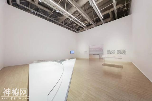 今夏上海最值得去的展：“把建筑看作环境本身，作为一种自然现象”-13.jpg