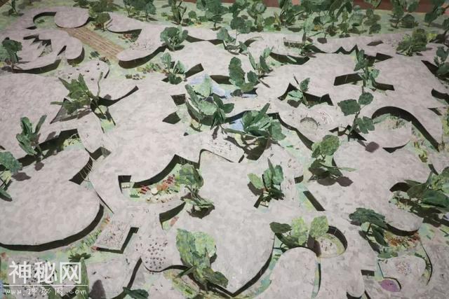 今夏上海最值得去的展：“把建筑看作环境本身，作为一种自然现象”-27.jpg