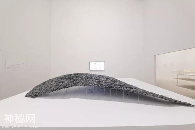 今夏上海最值得去的展：“把建筑看作环境本身，作为一种自然现象”-39.jpg