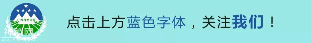一线传真 | 电闪雷鸣间的责任考量 ——记广西地质环境监测总站桂林地质环境监测站-1.jpg