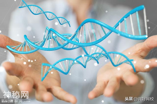 怎样高效率背高中生物知识点-2.jpg