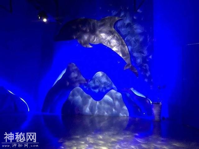 299元！惠州巽寮湾斯维登高级海景房+UFO网红泳池+梦幻海洋馆-9.jpg
